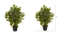 Nearly Natural 20" Mini Ficus Artificial Tree